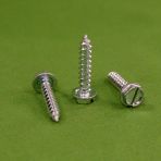 12 X 1 1/4 Slotted Hex Washer Head Sheet Metal Screws 18-8 Stainless